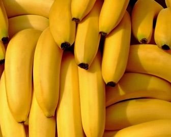 Бананы находятся под угрозой исчезновения выяснили ученые из Нидерландов