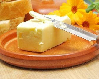 Шеф-повар считает, что мы должны учиться у муравьев выбирать еду