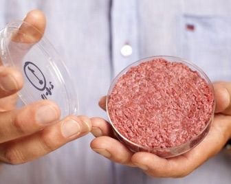 Мясо, выращенное в пробирке, будет доступно всем к 2020 году