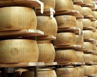 Во Владимирской области ведётся работа по созданию рокфора и камамбера